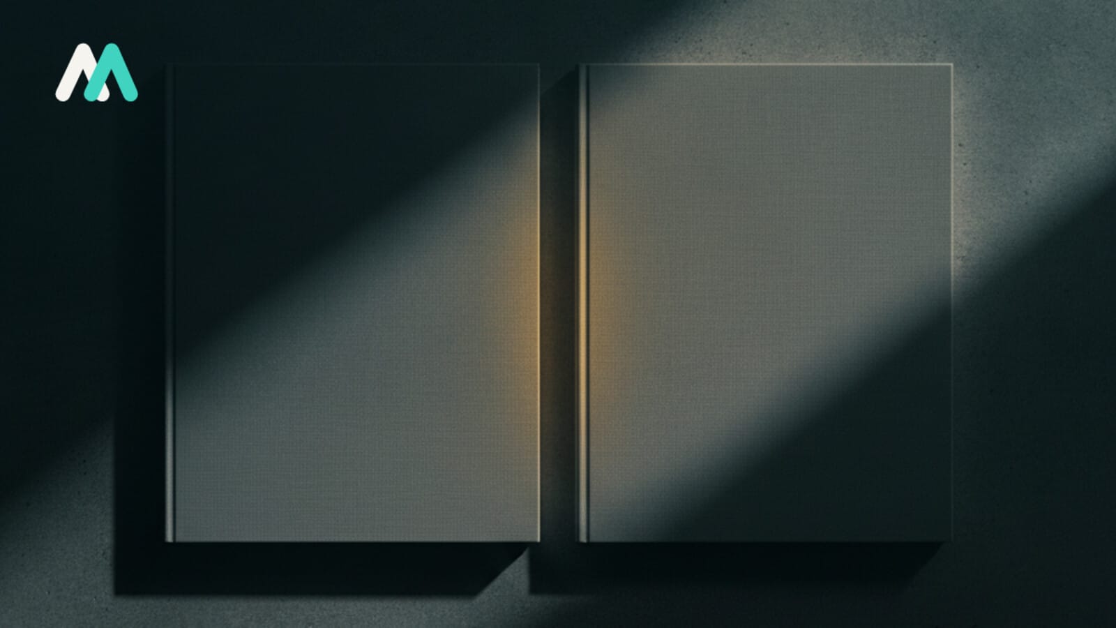 Two identical unmarked bound reports side by side on concrete, a diagonal shaft of light falling across one of them, nothing on either cover to distinguish them.