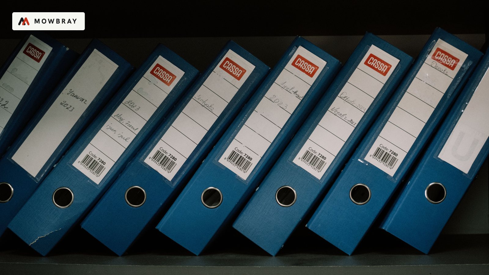 A row of blue lever-arch files on a shelf